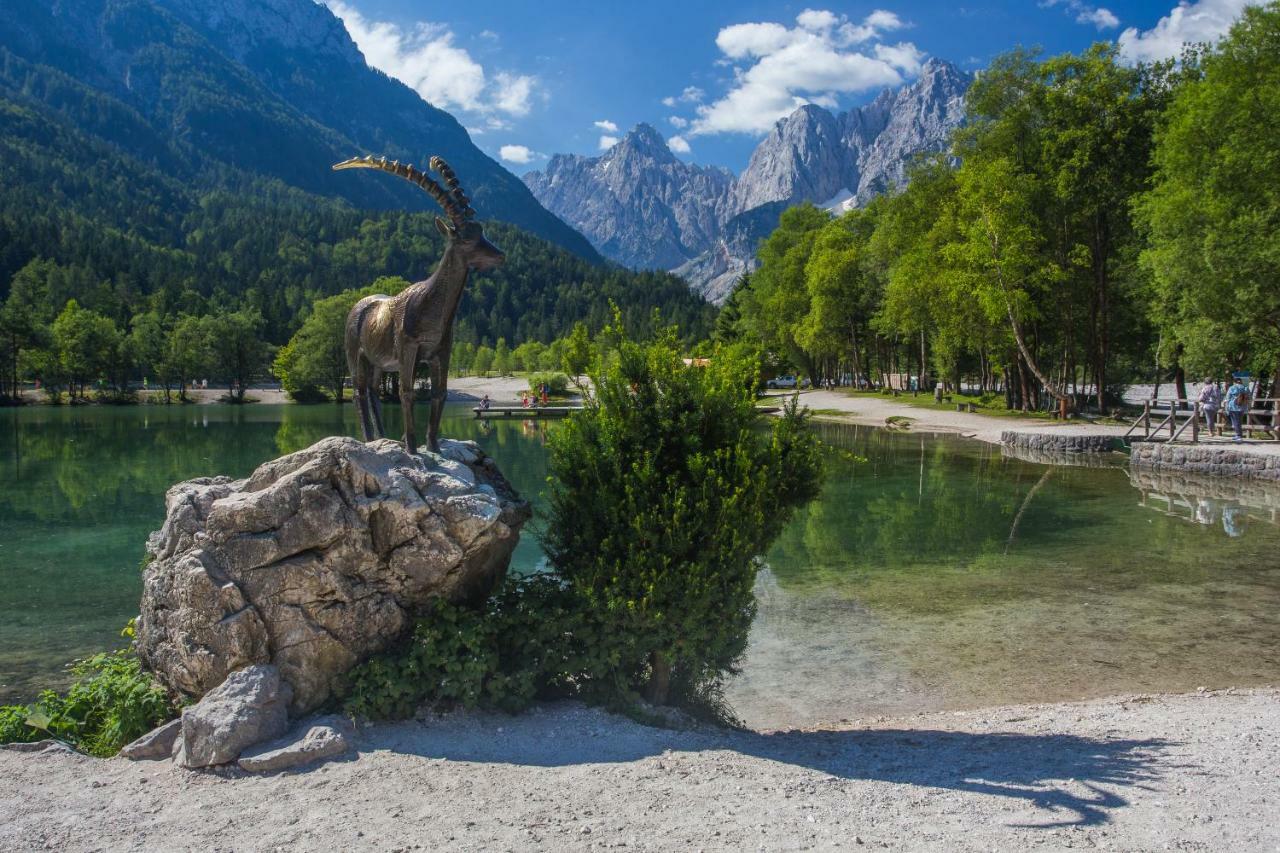 Appartamento Apartmaji Tina Zgornje Gorje Esterno foto